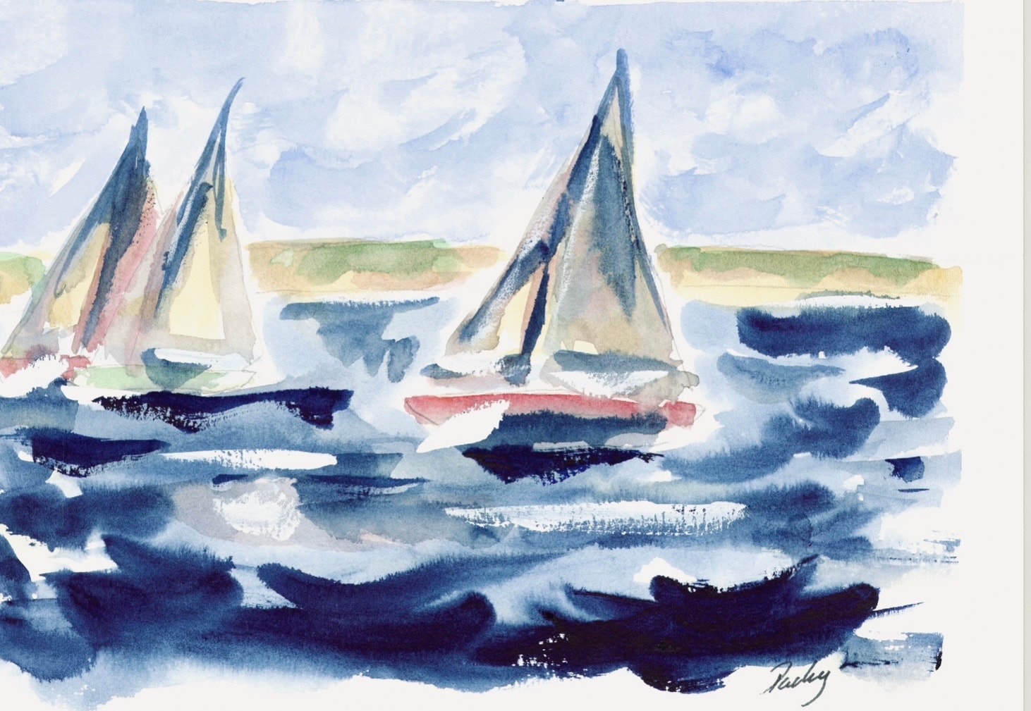 Choppy Race Day 4003