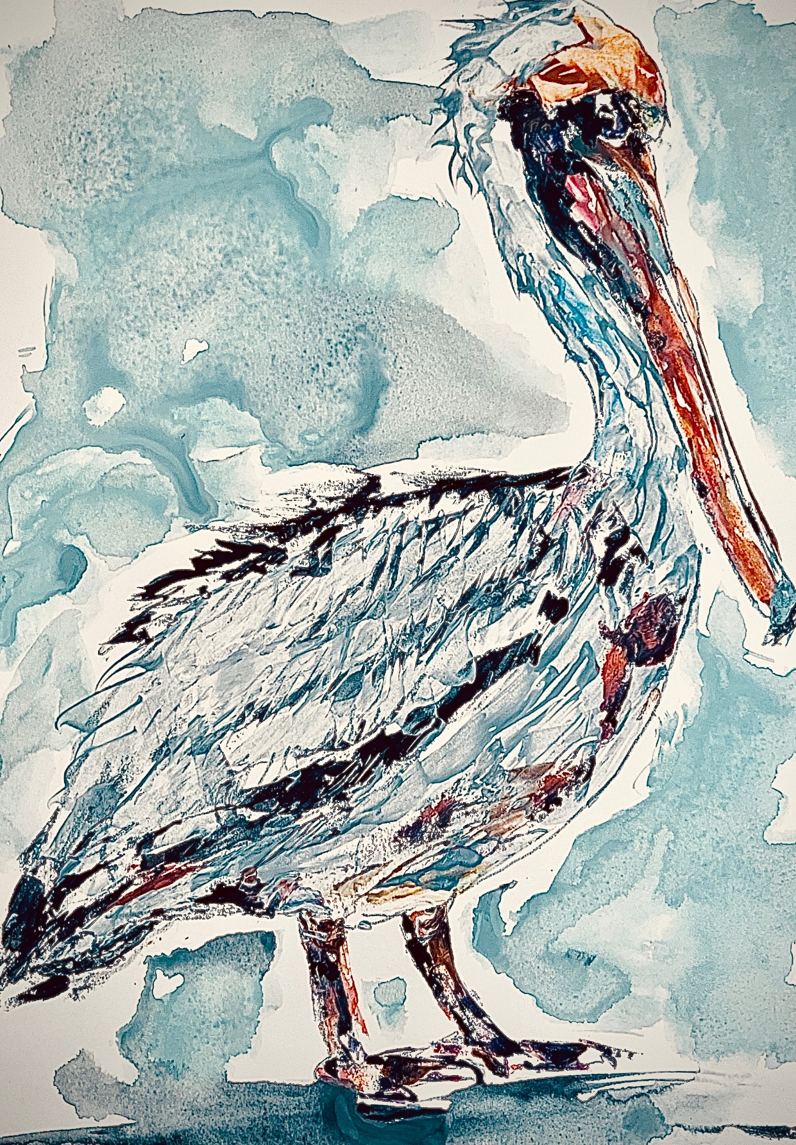 Shem Pelican